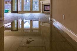 Flood & Water Damage